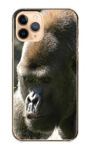 �_30%�I�t�����N�[�|���z�z�^ BASIO active2 SHG12 �P�[�X �J�o�[ �x�C�V�I �A�N�e�B�u2 �X�}�z�P�[�X �n�[�h�P�[�X �S���� ����� gorilla ���C���h �C�P���� ���������� �J�b�R�C�C ���� �A�j�}�� 