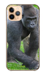 AQUOS sense8 SH-54D SHG11 SH-M26 �P�[�X �J�o�[ �A�N�I�X �X�}�z�P�[�X �n�[�h�P�[�X �S���� ����� gorilla ���C���h �C�P���� ���������� �J�b�R�C�C ���� �A�j�}�� �ʐ^ �n�[�h�J�o�[ �X�}�z�J�o�[ 