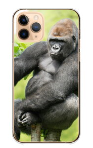 BASIO active2 SHG12 �P�[�X �J�o�[ �x�C�V�I �A�N�e�B�u2 �X�}�z�P�[�X �n�[�h�P�[�X �S���� ����� gorilla ���C���h �C�P���� ���������� �J�b�R�C�C ���� �A�j�}�� �ʐ^ �n�[�h�J�o�[ �X�}�z�J�o