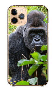 �_���z�N�[�|���z�z���^ BASIO active2 SHG12 �P�[�X �J�o�[ �x�C�V�I �A�N�e�B�u2 �X�}�z�P�[�X �n�[�h�P�[�X �S���� ����� gorilla ���C���h �C�P���� ���������� �J�b�R�C�C ���� �A�j�}�� �ʐ^ 