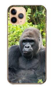 �_30%�I�t�����N�[�|���z�z�^ Google Pixel 10 Pro XL �P�[�X �J�o�[ �O�[�O���s�N�Z��10 Pro XL �X�}�z�P�[�X �n�[�h�P�[�X �S���� ����� gorilla ���C���h �C�P���� ���������� �J�b�R�C�C ���� �A�j