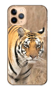 Xperia Ace Ace SO-02L J3173 �P�[�X �J�o�[ �G�N�X�y���A Ace �G�[�X �X�}�z�P�[�X �n�[�h�P�[�X �� �g�� �^�C�K�[ �z���C�g�^�C�K�[ tiger ���������� �J�b�R�C�C ���� �A�j�}�� �ʐ^ �n�[�h�J�o�[ �X