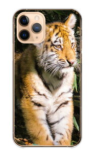 Galaxy A51 5G SC-54A SCG07 �P�[�X �J�o�[ �M�����N�V�[ A51 5G �X�}�z�P�[�X �n�[�h�P�[�X �� �g�� �^�C�K�[ �z���C�g�^�C�K�[ tiger ���������� �J�b�R�C�C ���� �A�j�}�� �ʐ^ �n�[�h�J�o�[ �X�}�z�J