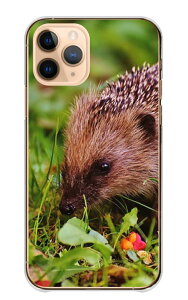 �_30%�I�t�����N�[�|���z�z�^ Redmi Note 10 Pro �P�[�X �J�o�[ ���h�~ ���b�h�~�[ �m�[�g 10�v�� �X�}�z�P�[�X �n�[�h�P�[�X �n���l�Y�~ �͂�˂��� �j�l ���� �ʐ^ �A�j�}�� ���킢�� ���� ����