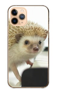 Redmi Note 10 Pro �P�[�X �J�o�[ ���h�~ ���b�h�~�[ �m�[�g 10�v�� �X�}�z�P�[�X �n�[�h�P�[�X �n���l�Y�~ �͂�˂��� �j�l ���� �ʐ^ �A�j�}�� ���킢�� ���� ������� �n�[�h�J�o�[ �X�}�z�J