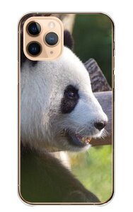 AQUOS wish4 SH-52E �P�[�X �J�o�[ �A�N�I�X�E�B�b�V��4 �X�}�z�P�[�X �n�[�h�P�[�X �p���_ �ς� �W���C�A���g�p���_ ���� �ʐ^ ���� �A�j�}�� ���킢�� ���������� �n�[�h�J�o�[ �X�}�z�J�o
