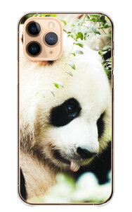 AQUOS wish4 SH-52E �P�[�X �J�o�[ �A�N�I�X�E�B�b�V��4 �X�}�z�P�[�X �n�[�h�P�[�X �p���_ �ς� �W���C�A���g�p���_ ���� �ʐ^ ���� �A�j�}�� ���킢�� ���������� �n�[�h�J�o�[ �X�}�z�J�o