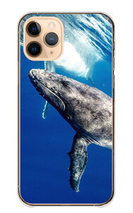 �_30%�I�t�����N�[�|���z�z�^ Redmi Note 10 Pro �P�[�X �J�o�[ ���h�~ ���b�h�~�[ �m�[�g 10�v�� �X�}�z�P�[�X �n�[�h�P�[�X �N�W�� ������ �N�W�� �z�G�[���E�H�b�`���O �C ���� �ʐ^ ���������� 