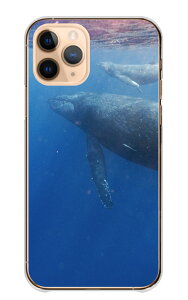 �_�|�C���g10�{�I�������^ OPPO Reno 13A Reno13A �P�[�X �J�o�[ �I�b�|���m13 A �I�b�|���m �X�}�z�P�[�X �n�[�h�P�[�X �N�W�� ������ �N�W�� �z�G�[���E�H�b�`���O �C ���� �ʐ^ ���������� �J�b�R