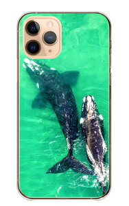 �_30%�I�t�����N�[�|���z�z�^ arrows We2 F-52E FCG02 M07 �P�[�X �J�o�[ �A���[�Y �E�B�[2 �X�}�z�P�[�X �n�[�h�P�[�X �N�W�� ������ �N�W�� �z�G�[���E�H�b�`���O �C ���� �ʐ^ ���������� �J�b�R�C