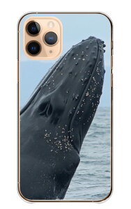 �_30%�I�t�����N�[�|���z�z�^ Redmi Note 10 Pro �P�[�X �J�o�[ ���h�~ ���b�h�~�[ �m�[�g 10�v�� �X�}�z�P�[�X �n�[�h�P�[�X �N�W�� ������ �N�W�� �z�G�[���E�H�b�`���O �C ���� �ʐ^ ���������� 