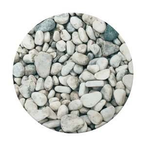 z R[X^[  킢  zR[X^[ K  IVȃfUC Y LC ꂢ JCC z  v[g 