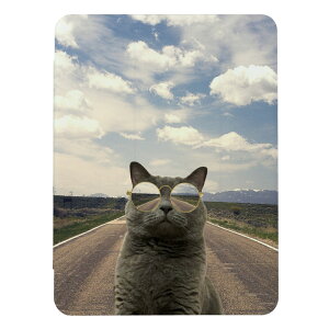 iPad (A16)�p�P�[�X iPad A16 A3354 A3355 A3356 iPad�J�o�[ iPad�P�[�X �A�C�p�b�h�J�o�[ �P�[�X �F���L �F�� �L �˂� �l�R �������낢 �ʔ��� �ʐ^ �j�� �q�� �L�b�Y �蒠�^ �������� ���[����