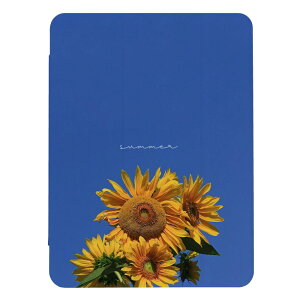 _30%OFFN[|zz^ iPad 9 10 P[X 8 Jo[ 7 ACpbh mini air pro 10.2 10.5 q}   ʐ^ 킢  l  iPad6 Jo[ ACpb