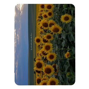 iPad 第9世代 第10世代 ケース 第8世代 カバー 第7世代 アイパッド mini air pro 10.2 10.5 ヒマワリ 向日葵 夏 写真 かわいい 可愛い 大人 おしゃれ iPad第6世代 カバー アイパッドカバー 手帳型 送料無
