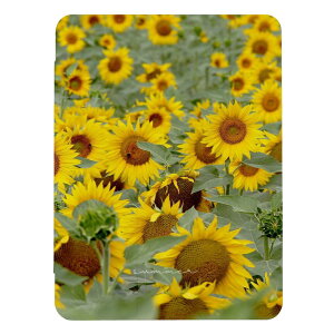 iPad 9 10 P[X 8 Jo[ 7 ACpbh mini air pro 10.2 10.5 q}   ʐ^ 킢  l  iPad6 Jo[ ACpbhJo[ 蒠^ 