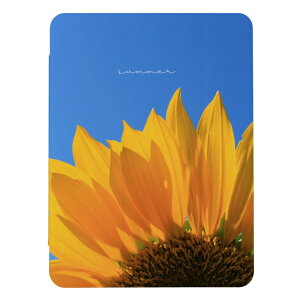 iPad 9 10 P[X 8 Jo[ 7 ACpbh mini air pro 10.2 10.5 q}   ʐ^ 킢  l  iPad6 Jo[ ACpbhJo[ 蒠^ 