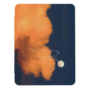 iPad Pro 11�C���` (M5)�p�P�[�X iPad�J�o�[ iPad�P�[�X �A�C�p�b�h�J�o�[ �P�[�X �ʐ^ �� ������ �_ �[�� �[�� ���킢�� ������� �j�� ���� ��l �������낢 �蒠�^ �������� ���[���� iPad Pro M5 11 
