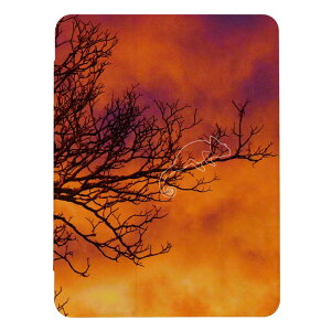 iPad (A16)�p�P�[�X iPad A16 A3354 A3355 A3356 iPad�J�o�[ iPad�P�[�X �A�C�p�b�h�J�o�[ �P�[�X �ʐ^ �� ������ �_ �[�� �[�� ���킢�� ������� �j�� ���� ��l �������낢 �蒠�^ �������� ���[����