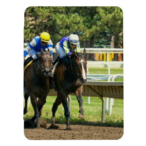 _zN[|zz^ iPad 9 10 P[X 8 Jo[ 7 ACpbh mini air pro 10.2 10.5 n n n ʐ^ 蒠^ LbY q iPad6 Jo[ ACpbhJo[ 蒠^ 