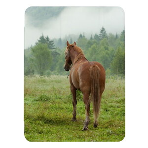 30%N[|ubNtCf[ iPad 9 10 P[X 8 Jo[ 7 ACpbh mini air pro 10.2 10.5 n n n ʐ^ 蒠^ LbY q iPad6 Jo[ ACpbh