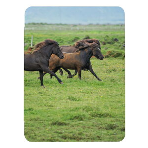 z 50%OFF X[p[Z[ iPad 9 10 P[X 8 Jo[ 7 ACpbh mini air pro 10.2 10.5 n n n ʐ^ 蒠^ LbY q iPad6 Jo[ ACpbhJo[ 蒠