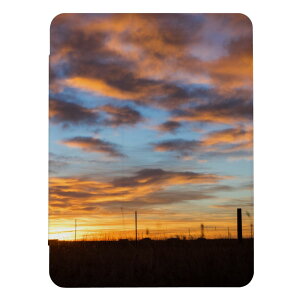 iPad (A16)�p�P�[�X iPad A16 A3354 A3355 A3356 iPad�J�o�[ iPad�P�[�X �A�C�p�b�h�J�o�[ �P�[�X �n ���n ��n �J�b�R�C�C ���������� �ʐ^ �蒠�^ � �j�� ���� �蒠�^ �������� ���[����