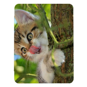 iPad (A16)�p�P�[�X iPad A16 A3354 A3355 A3356 iPad�J�o�[ iPad�P�[�X �A�C�p�b�h�J�o�[ �P�[�X �L �˂� �l�R �ʐ^ ���L ���킢�� �J���C�C ���ǂ� �j�� ���� �蒠�^ �������� ���[����