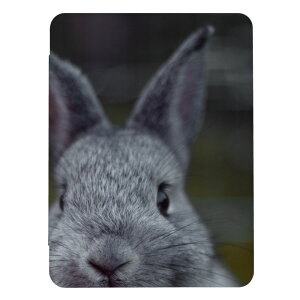 _zN[|zz^ iPad 9 10 P[X 8 Jo[ 7 ACpbh mini air pro 10.2 10.5  ʐ^  LbY q iPad6 Jo[ ACpbhJo[ 蒠^ 