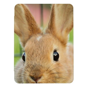 _30%OFFN[|zz^ iPad 9 10 P[X 8 Jo[ 7 ACpbh mini air pro 10.2 10.5  ʐ^  LbY q iPad6 Jo[ ACpbhJo[ 蒠^ 