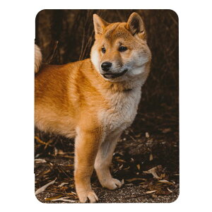 z 50%OFF X[p[Z[ iPad 9 10 P[X 8 Jo[ 7 ACpbh mini air pro 10.2 10.5 Č Ό ʐ^  LbY q iPad6 Jo[ ACpbhJo[ 蒠