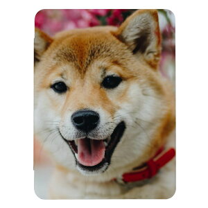 iPad (A16)�p�P�[�X iPad A16 A3354 A3355 A3356 iPad�J�o�[ iPad�P�[�X �A�C�p�b�h�J�o�[ �P�[�X �Č� ���Ό� �V�o�C�k �ʐ^ ���킢�� �L�b�Y �q�� ���ǂ� �j�� ���� �蒠�^ �������� ���[����