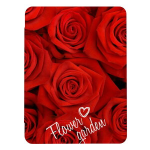 iPad Pro 11�C���` (M5)�p�P�[�X iPad Pro M5 11 �C���` A3357 A3358 A3359 iPad�J�o�[ iPad�P�[�X �A�C�p�b�h�J�o�[ �P�[�X ���� �t�����[ �ʐ^ �t�H�g �o�� �K�N �J���t�� ������� ���� �L���C �Y�� �蒠�^ 