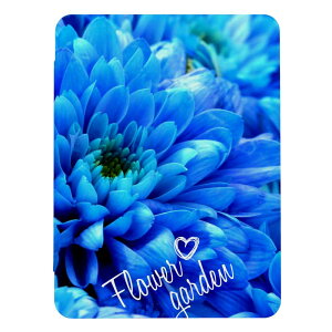 iPad Pro 11�C���` (M5)�p�P�[�X iPad Pro M5 11 �C���` A3357 A3358 A3359 iPad�J�o�[ iPad�P�[�X �A�C�p�b�h�J�o�[ �P�[�X ���� �t�����[ �ʐ^ �t�H�g �o�� �K�N �J���t�� ������� ���� �L���C �Y�� �蒠�^ 
