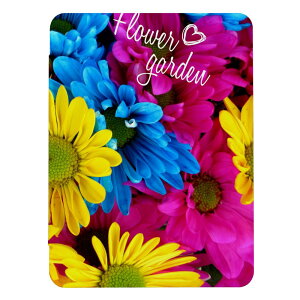 iPad Pro 11�C���` (M5)�p�P�[�X iPad Pro M5 11 �C���` A3357 A3358 A3359 iPad�J�o�[ iPad�P�[�X �A�C�p�b�h�J�o�[ �P�[�X ���� �t�����[ �ʐ^ �t�H�g �o�� �K�N �J���t�� ������� ���� �L���C �Y�� �蒠�^ 