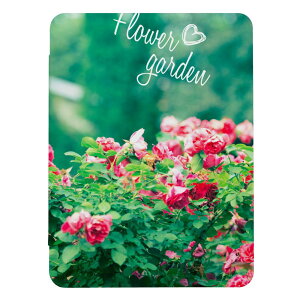 iPad Air (�� 1/2 ����)�p�P�[�X iPad Air 2 ��2���� ��1���� A1566 A1567 A1474 iPad�J�o�[ iPad�P�[�X �A�C�p�b�h�J�o�[ �P�[�X ���� �t�����[ �ʐ^ �t�H�g �o�� �K�N �J���t�� ������� ���� �L���C �Y�� ��