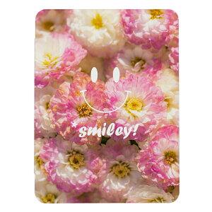 _zN[|zz^ iPad 9 10 P[X 8 Jo[ 7 ACpbh mini air pro 10.2 10.5 X}C SMILE jR ɂ Ί   _  킢 iPad6 Jo[ ACp