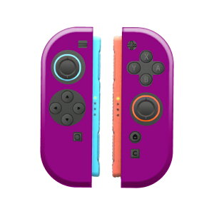 �_���z�N�[�|���z�z���^ Nintendo Switch2 switch2 switch2��p �P�[�X �C�V�� �X�C�b�`2 Joy-Con �W���C�R�� �J�o�[ �P�[�X �a���� �N���X�}�X �M�t�g �v���[���g �V���v�� ���b�h �u���[ ���F �C�G���[ 