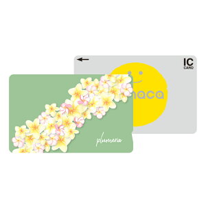 _zN[|zz^ ICJ[hXebJ[ ICJ[hV[ XCJ Suica PASMO pX ICOCA TOICA Edy nanaco manaca ʌnJ[hXebJ[ ډB ZLeB vA nCA nC C 