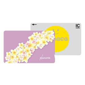 _30%OFFN[|zz^ ICJ[hXebJ[ ICJ[hV[ XCJ Suica PASMO pX ICOCA TOICA Edy nanaco manaca ʌnJ[hXebJ[ ډB ZLeB vA nCA nC C 