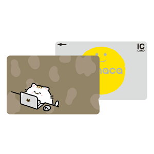 ICJ[hXebJ[ ICJ[hV[ XCJ Suica PASMO pX ICOCA TOICA Edy nanaco manaca ʌnJ[hXebJ[ ډB ZLeB ˂ lR L Vv   CXg 킢 В{ 