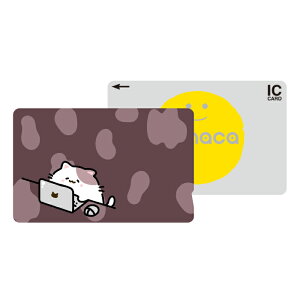 ICJ[hXebJ[ ICJ[hV[ XCJ Suica PASMO pX ICOCA TOICA Edy nanaco manaca ʌnJ[hXebJ[ ډB ZLeB ˂ lR L Vv   CXg 킢 В{ 