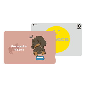 ICJ[hXebJ[ ICJ[hV[ XCJ Suica PASMO pX ICOCA TOICA Edy nanaco manaca ʌnJ[hXebJ[ ډB ZLeB _bNXth ~j`A_bNXth   CXg 