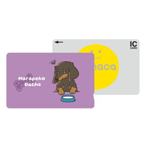 ICJ[hXebJ[ ICJ[hV[ XCJ Suica PASMO pX ICOCA TOICA Edy nanaco manaca ʌnJ[hXebJ[ ډB ZLeB _bNXth ~j`A_bNXth   CXg 