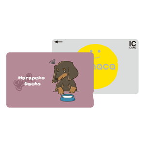 ICJ[hXebJ[ ICJ[hV[ XCJ Suica PASMO pX ICOCA TOICA Edy nanaco manaca ʌnJ[hXebJ[ ډB ZLeB _bNXth ~j`A_bNXth   CXg 