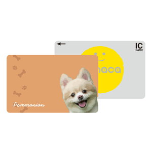 ICJ[hXebJ[ ICJ[hV[ XCJ Suica PASMO pX ICOCA TOICA Edy nanaco manaca ʌnJ[hXebJ[ ډB ZLeB  ybg Aj} 킢  gCv[h |jA