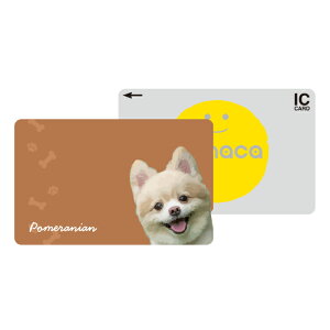 _30%OFFN[|zz^ ICJ[hXebJ[ ICJ[hV[ XCJ Suica PASMO pX ICOCA TOICA Edy nanaco manaca ʌnJ[hXebJ[ ډB ZLeB  ybg Aj} 킢  g