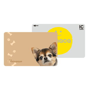 _30%OFFN[|zz^ ICJ[hXebJ[ ICJ[hV[ XCJ Suica PASMO pX ICOCA TOICA Edy nanaco manaca ʌnJ[hXebJ[ ډB ZLeB  ybg Aj} 킢  g