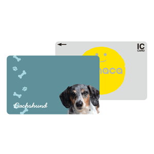 ICJ[hXebJ[ ICJ[hV[ XCJ Suica PASMO pX ICOCA TOICA Edy nanaco manaca ʌnJ[hXebJ[ ډB ZLeB  ybg Aj} 킢  gCv[h |jA