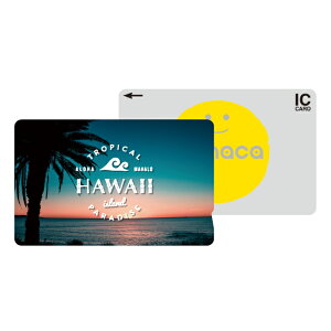 _30%OFFN[|zz^ ICJ[hXebJ[ ICJ[hV[ XCJ Suica PASMO pX ICOCA TOICA Edy nanaco manaca ʌnJ[hXebJ[ ډB ZLeB 썑 nC r[` C z [Ă T